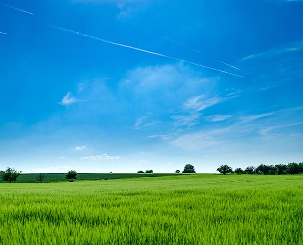 Mortgage financing for acreage or raw land lots